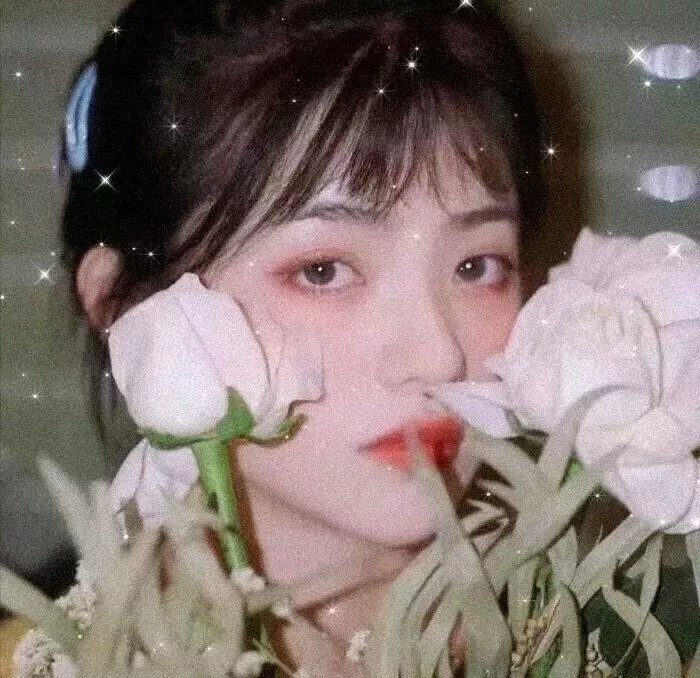 怪兽航线